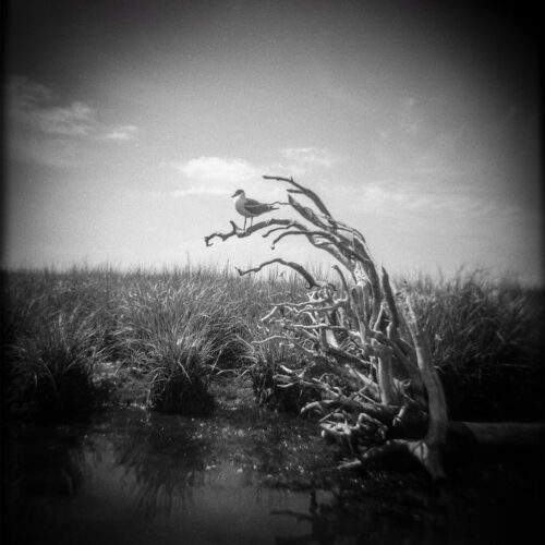 Photography instructor’s work displayed in Colorado, Vermont